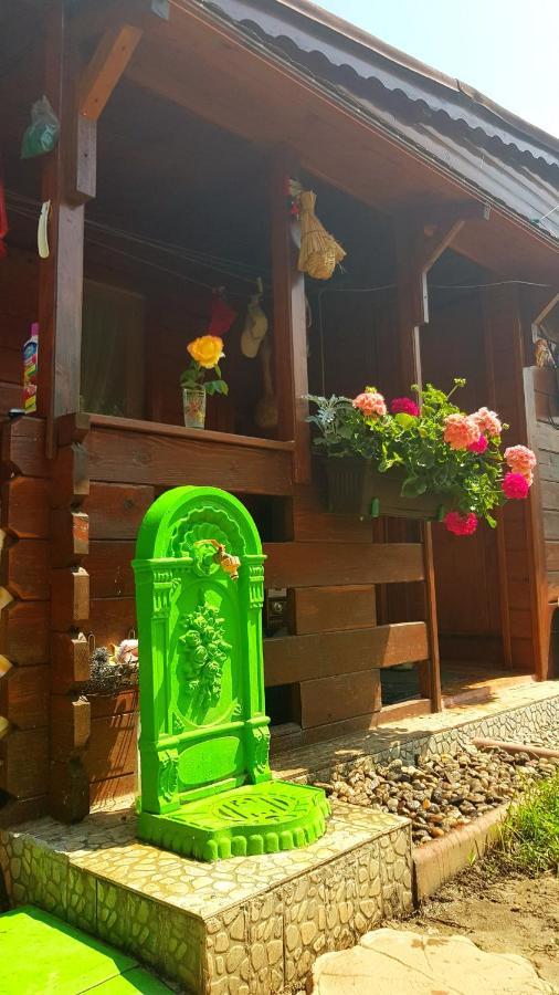 Casa Ursului Hotel Bujoreni ภายนอก รูปภาพ